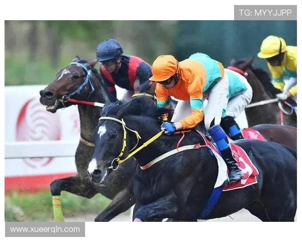 专业澳门赛马咨询平台为您提供赛马赛事分析与投注策略指导 专业澳门赛马咨询平台为您提供赛马赛事分析与投注策略指导