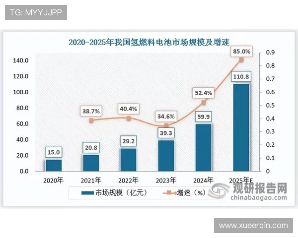 新濠国际发展有限公司官网：投资者必看企业财务报告与市场前景分析