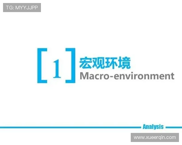 七星备用网址如何确保账号安全与游戏稳定性，打造无忧游戏环境的实用指南