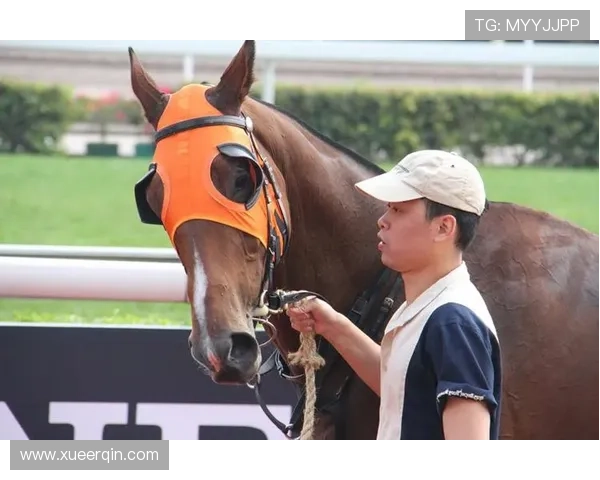 如何利用赛马会真人国际平台的专业客服解决游戏中遇到的各种问题