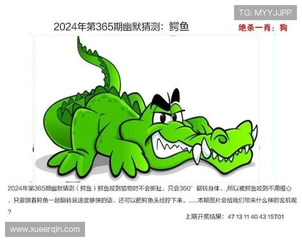 澳门开奖平台官网安全可靠的登录指南与账号保护措施详解